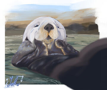 Otter illustration Otter illustration