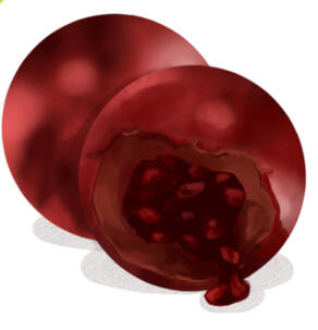 Confectionary Illustration Confectionary Illustration